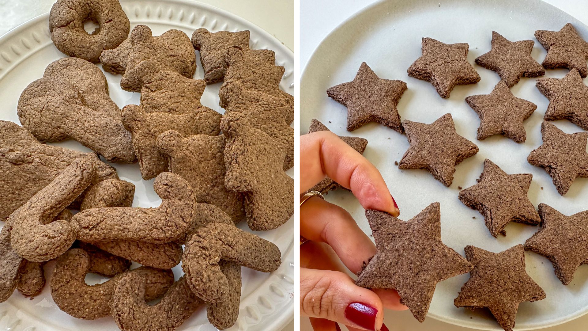 Biscoito de aveia com cacau simples e sem açúcar saudável